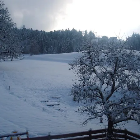 Διαμέρισμα Zirmheim